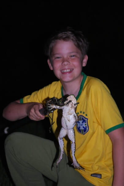 Boy holds bullfrog